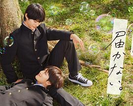 俄罗斯第二大城市,女孩学hiphop还是locking